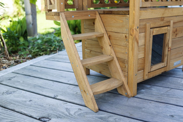 Katzenhaus Lodge mit Treppe
