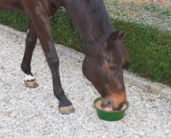 Delizia Leckschale Bronchial, Mineral-, Vitamin- und Spurenelementmischung mit Kräutern zur Rundumversorgung Ihres Pferdes