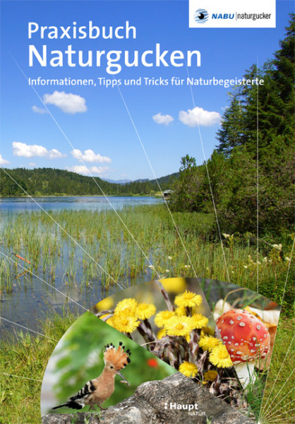 Praxisbuch Naturgucken - Informationen, Tipps und Tricks für Naturbegeisterte, Haupt Verlag, NABU