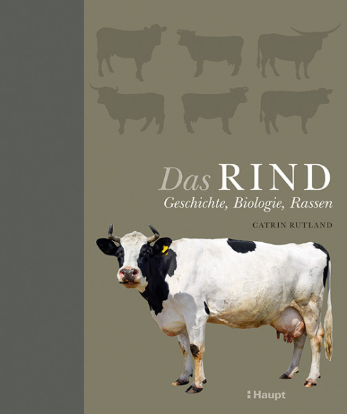 Das Rind - Geschichte, Biologie, Rassen, Haupt Verlag, Autorin Ruttland, C.