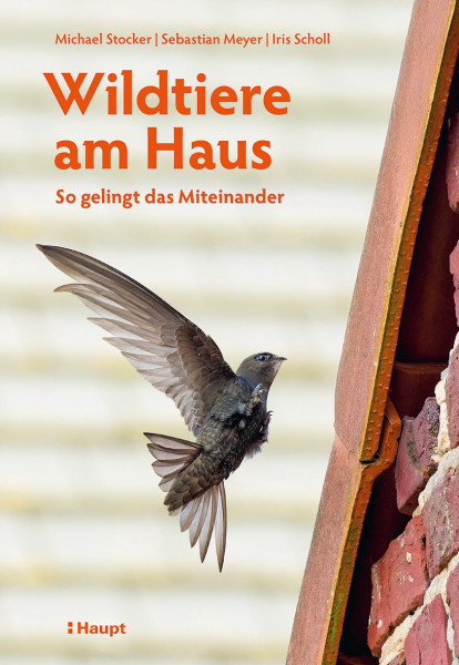 Wildtiere am Haus, Autorem M. Stocker, S. Meyer, I. Scholl, Haupt Verlag