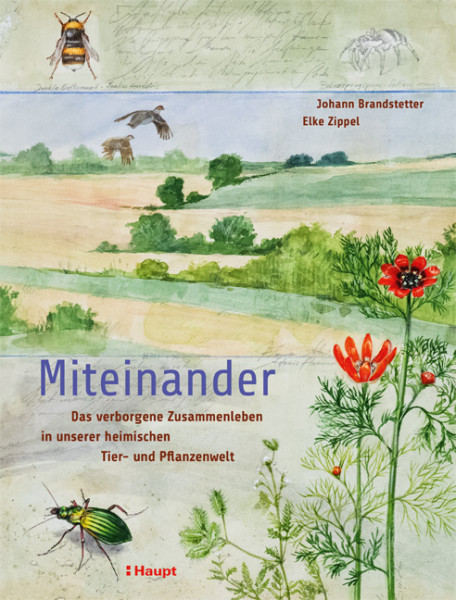 Miteinander - Das verborgene Zusammenleben in unserer heimischen Tier- und Pflanzenwelt, Haupt Verlag , Autoren J. Brandstetter, E. Zippel